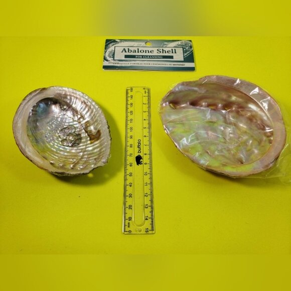 Abalone Shells Two For Cleansing Or Decor Ideas - Picture 5 of 12